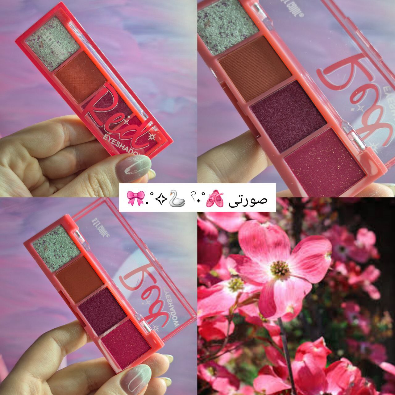 پالت سایه مینی